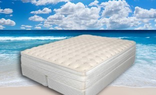 11660691 Canada Ltd.